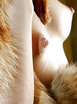 Erected Nipples, Hot Erotic Photos from MPL Studios
